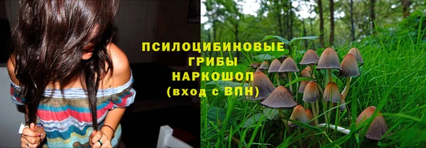 Альфа ПВП Беломорск