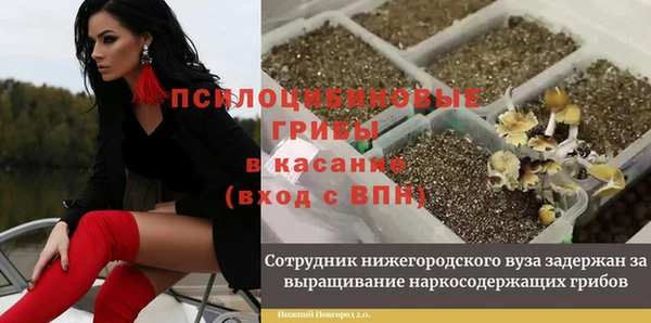 Альфа ПВП Беломорск