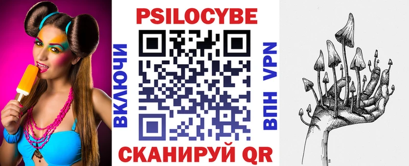 Псилоцибиновые грибы мицелий  Купить закладки  Котовск 
