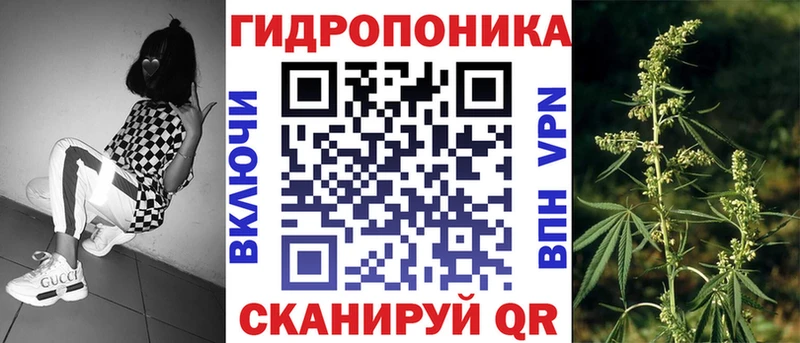 Купить закладки  Котовск  Каннабис ГИДРОПОН 
